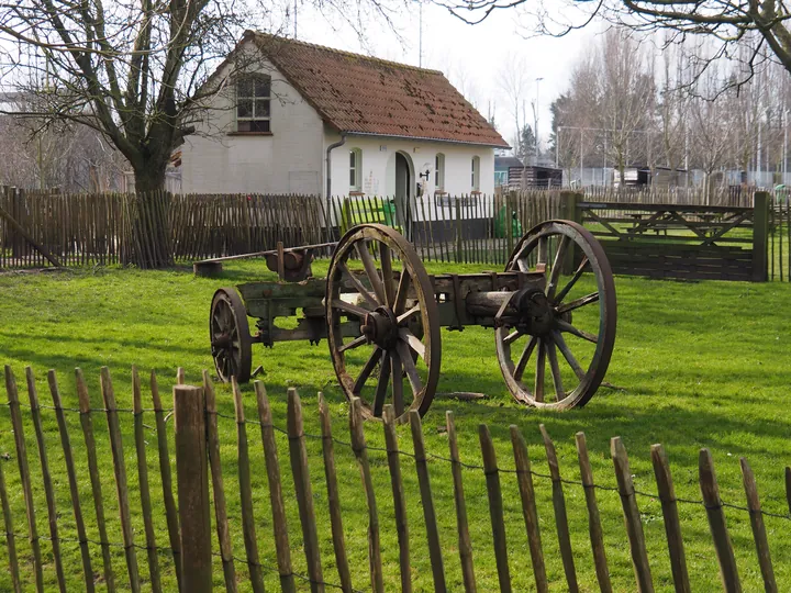 Lens Polder Petting zoo in Newport (Belgium)